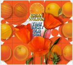 Brian Wilsonin "That Lucky Old Sun" -albumin etukansi. Kuvassa näkyy hedelmiä. Lähinnä appelsiineja, joista osa on leikattu keskeltä halki. Keskellä appelsiinien sakkia näkyy Brian Wilsonin nimi ja albumin nimi keltaisella ja sinertävällä tekstillä, joiss